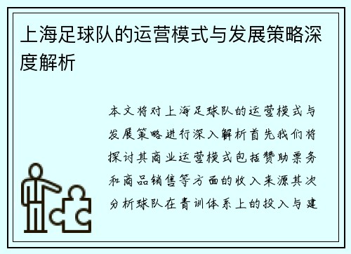 上海足球队的运营模式与发展策略深度解析